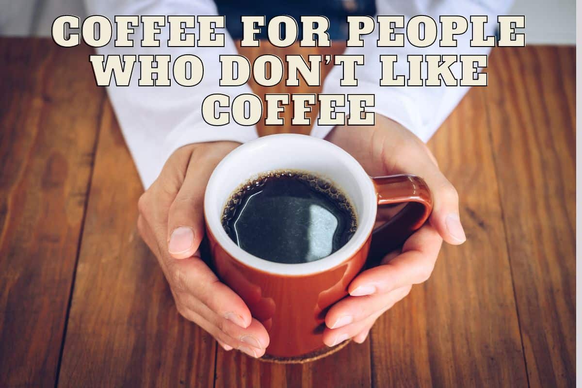 Top 10 Coffee for People Who Don’t Like Coffee sNICE Café