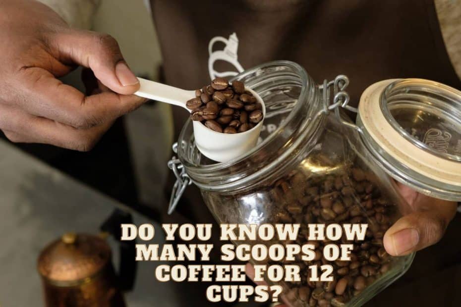 Do You Know How Many Scoops of Coffee for 12 Cups