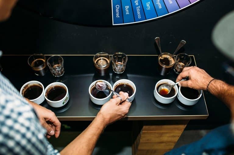 What Does Coffee Taste Like? (The Flavour and Aroma Guide) sNICE Café